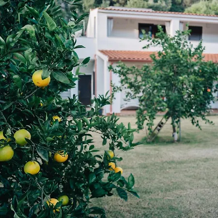 Casavasco 게스트하우스 키아