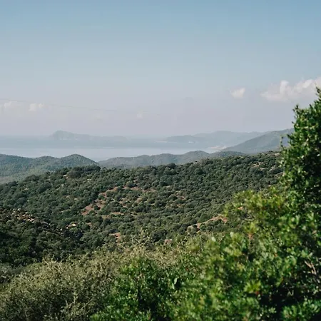 Casavasco 게스트하우스 3*