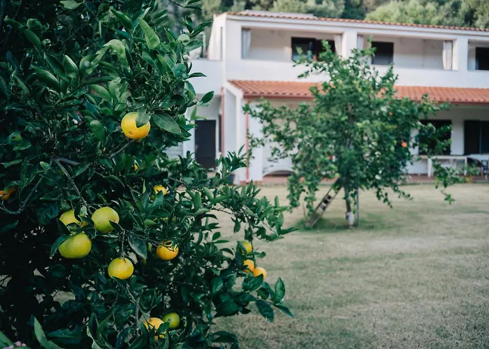 Casavasco Konukevi Chia